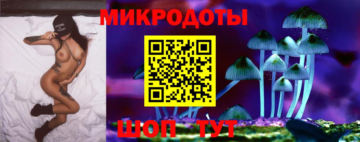 Галлюциногенные грибы Cubensis Славгород