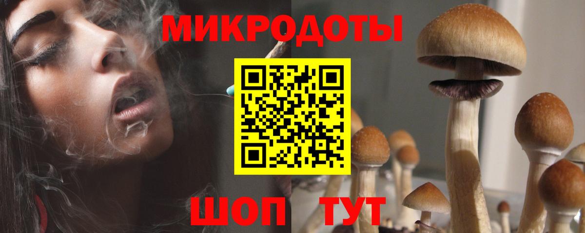 МЕФ Славгород
