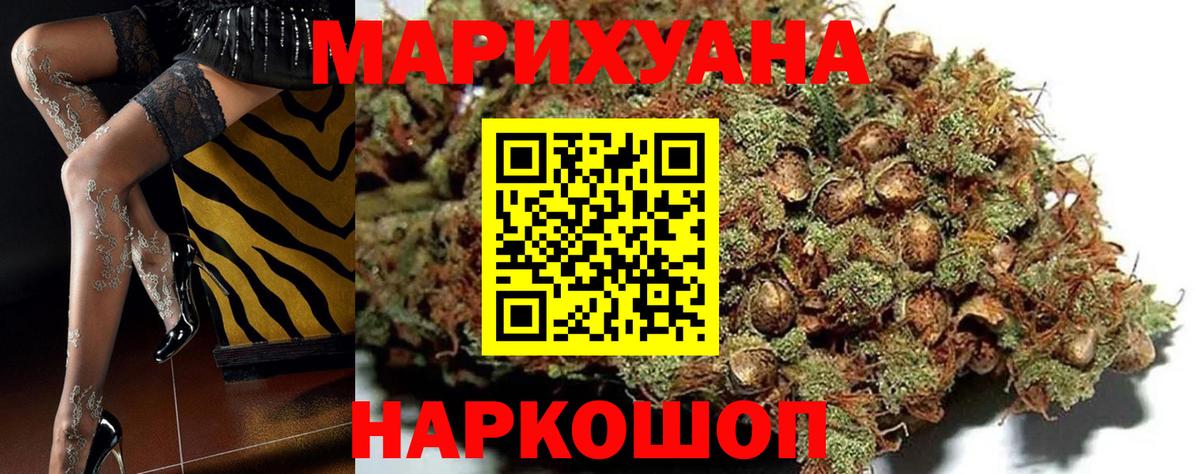 Конопля Ganja Славгород
